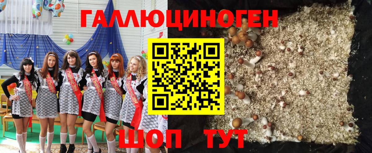 Благовещенск  Галлюциногенные грибы прущие грибы  Вход с VPN 